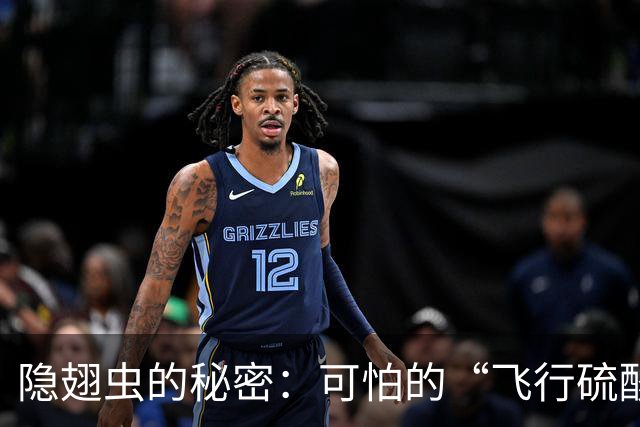 隐翅虫的秘密：可怕的“飞行硫酸”其实很温和！